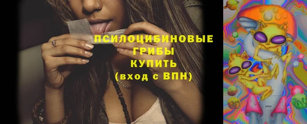 винт Алексин