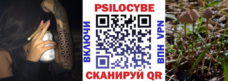 Галлюциногенные грибы мицелий  Бакал 